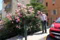 2010 07 04 jeanmarcperfetti.com 095.JPG
